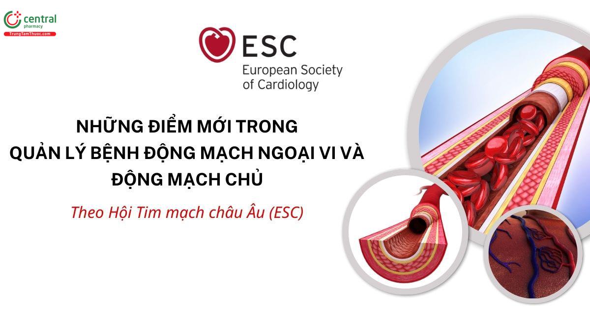 Những điểm mới trong quản lý động mạch ngoại vi và động mạch chủ - ESC 2024