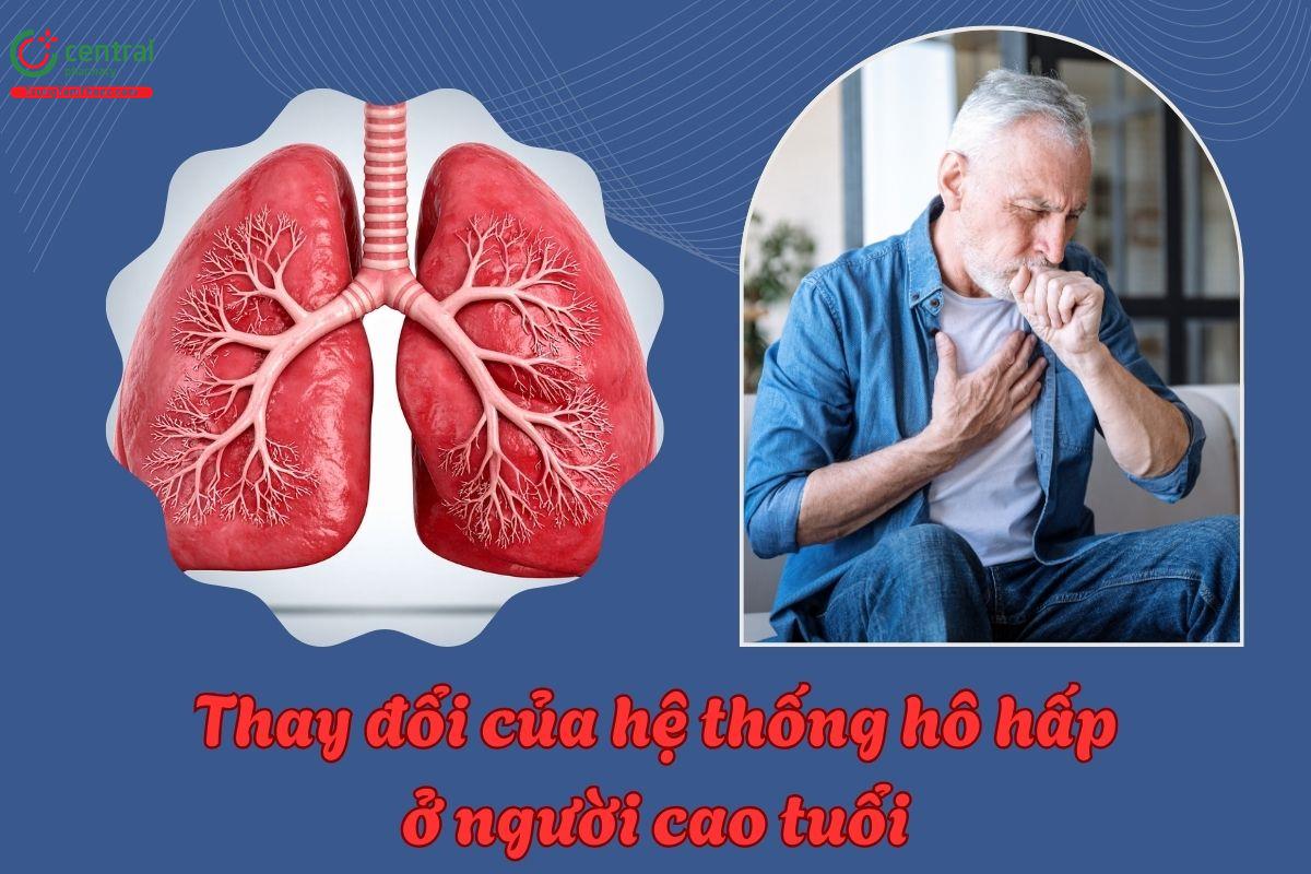 Những thay đổi của hệ thống hô hấp ở người cao tuổi