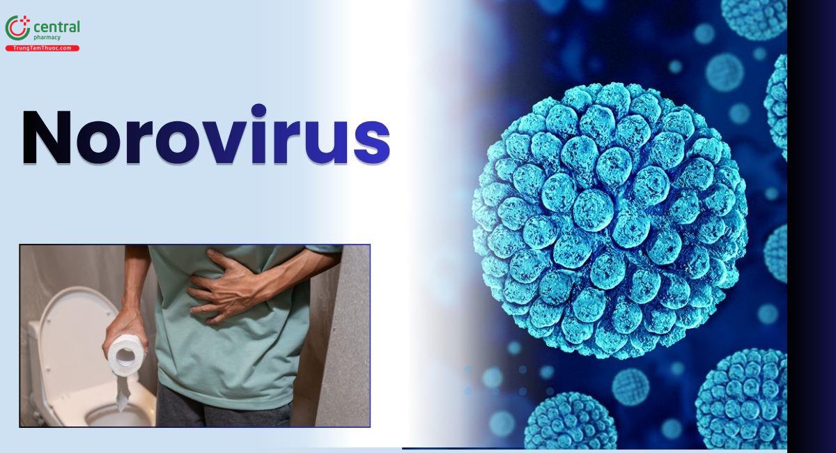 Norovirus gây bệnh gì, có nguy hiểm không, đặc điểm và lây qua đường nào?