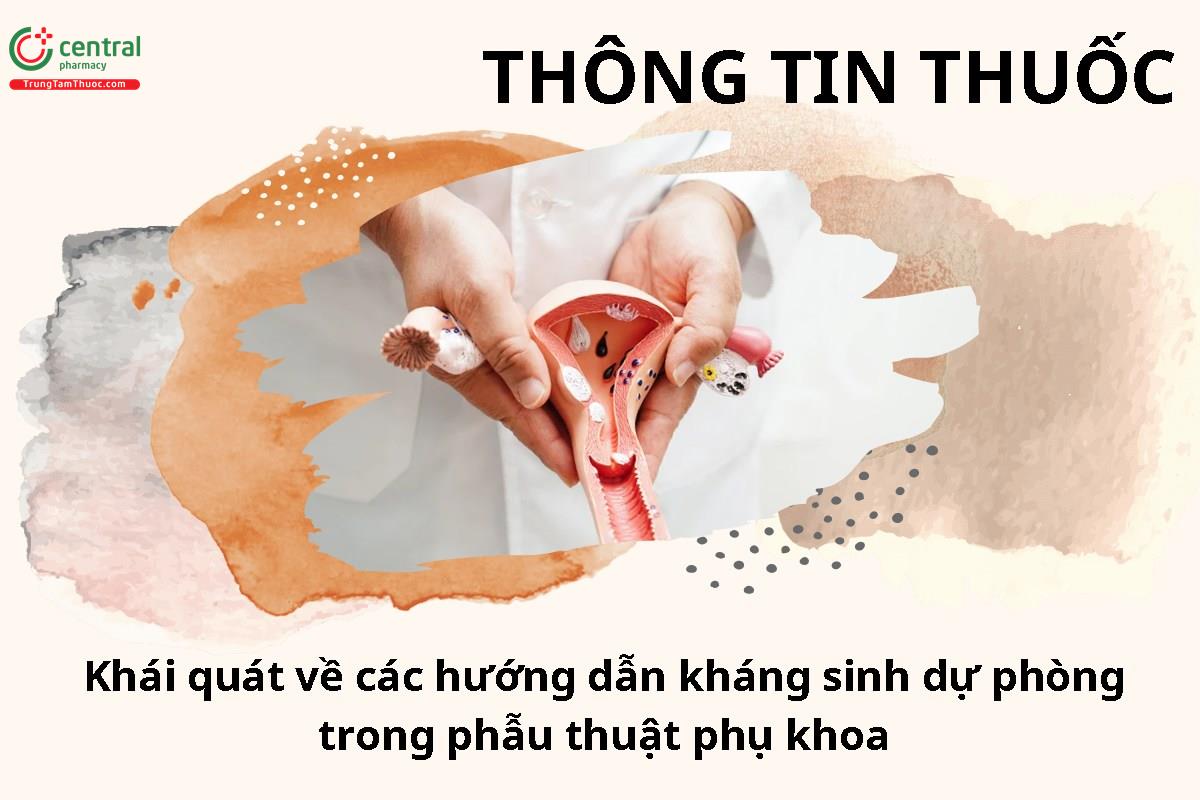 Khái quát về các hướng dẫn sử dụng kháng sinh dự phòng trong phẫu thuật phụ khoa