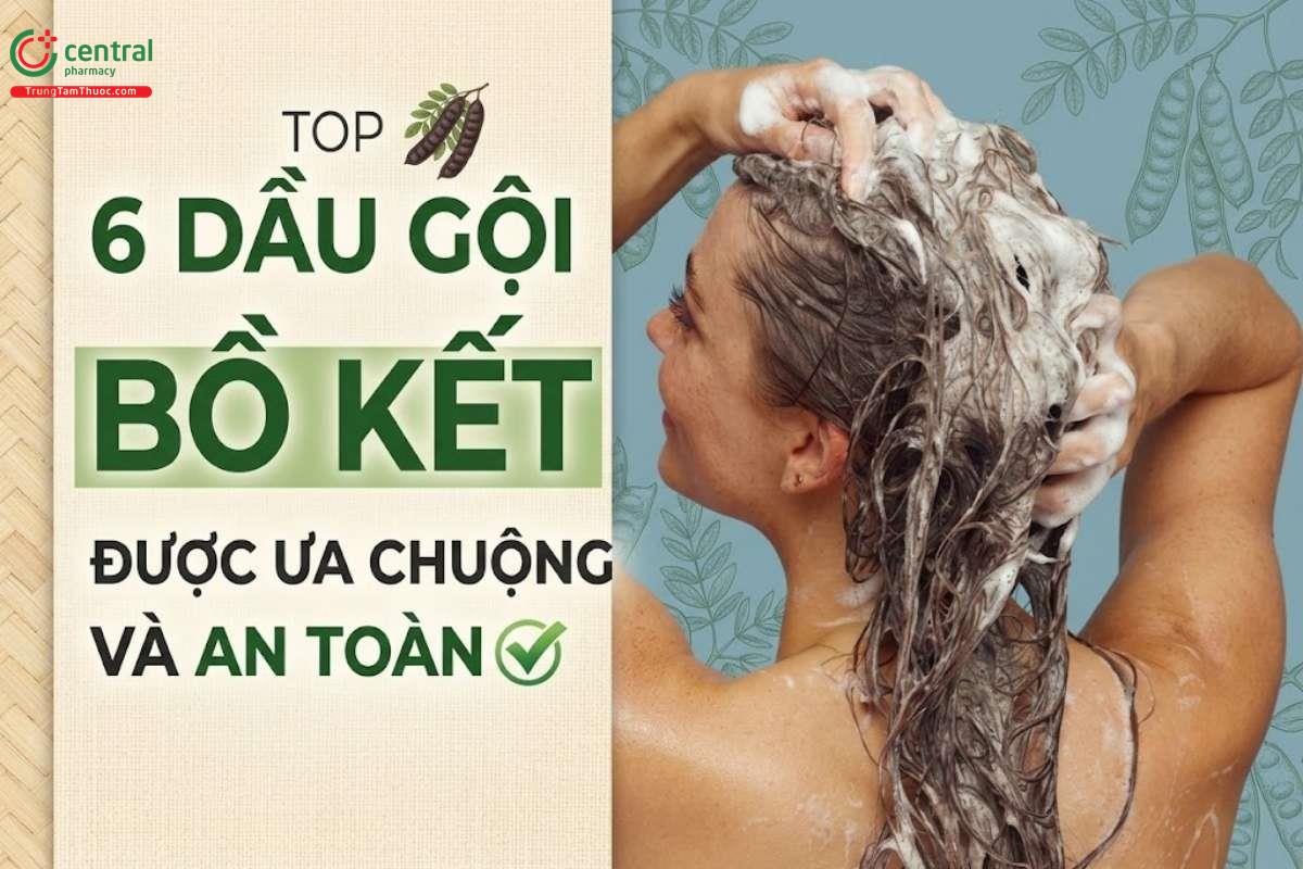 [REVIEW] Chỉ bạn 6 dầu gội bồ kết được ưa chuộng và an toàn