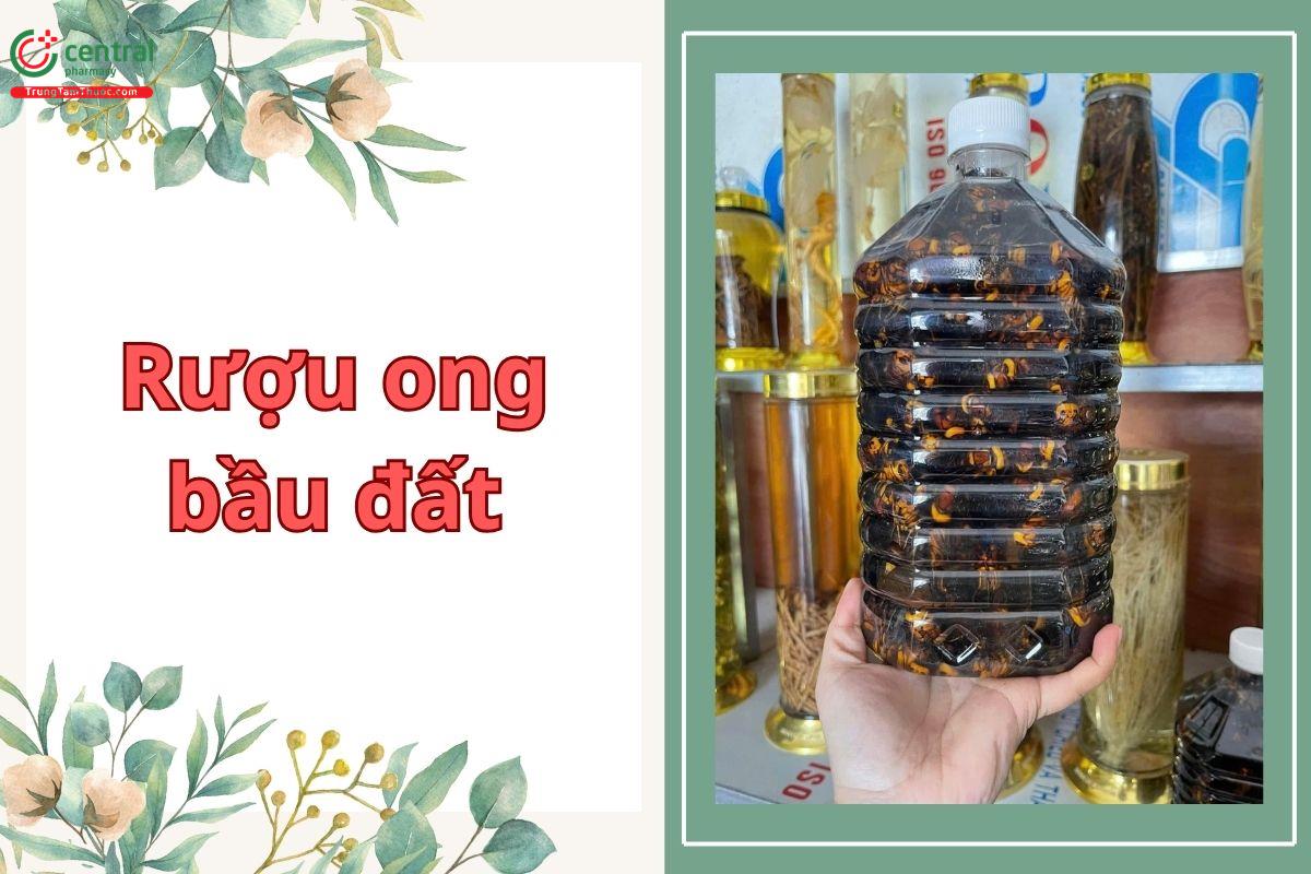 Rượu ong bầu đất - có thực sự tốt cho sức khỏe như lời đồn?