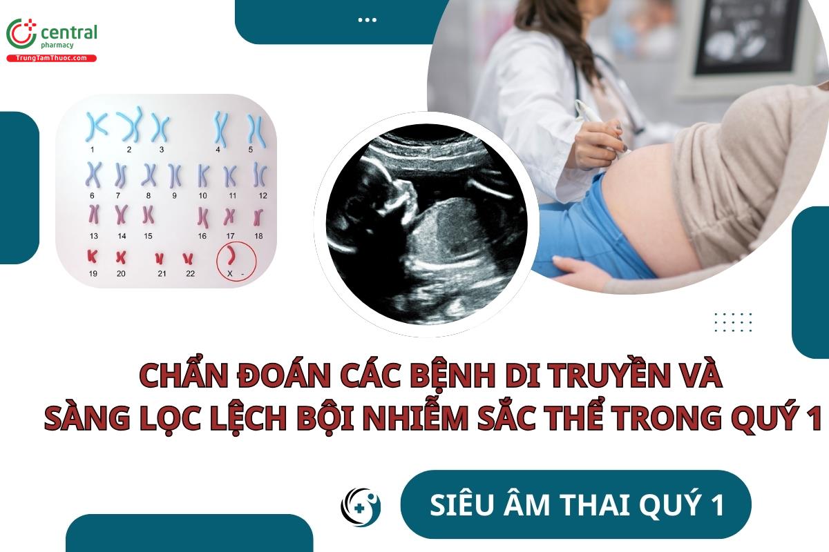 Chẩn đoán các bệnh di truyền và sàng lọc lệch bội nhiễm sắc thể trong quý 1