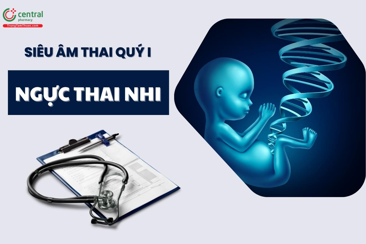 Siêu âm đánh giá ngực thai nhi trong quý 1