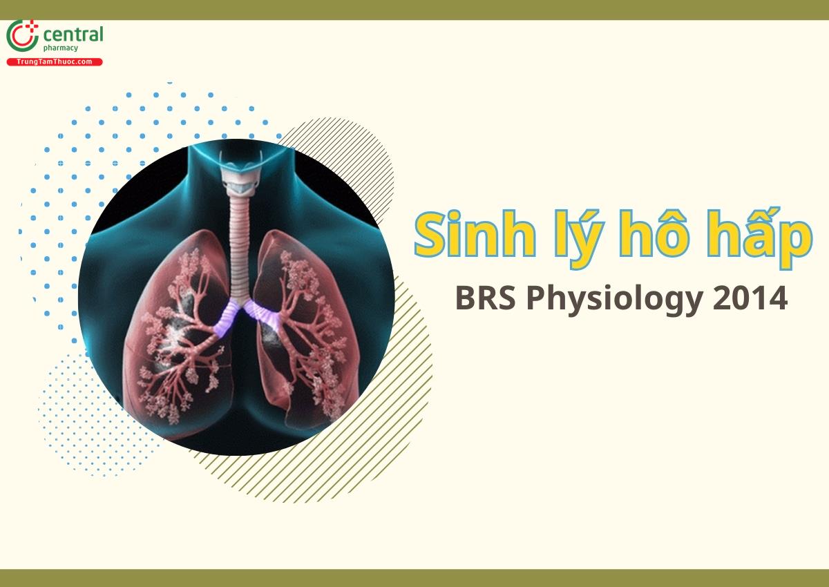 Sinh lý hô hấp: Chức năng, hoạt động và các đáp ứng phối hợp của hệ hô hấp - BRS Physiology Linda Costanzo 2014
