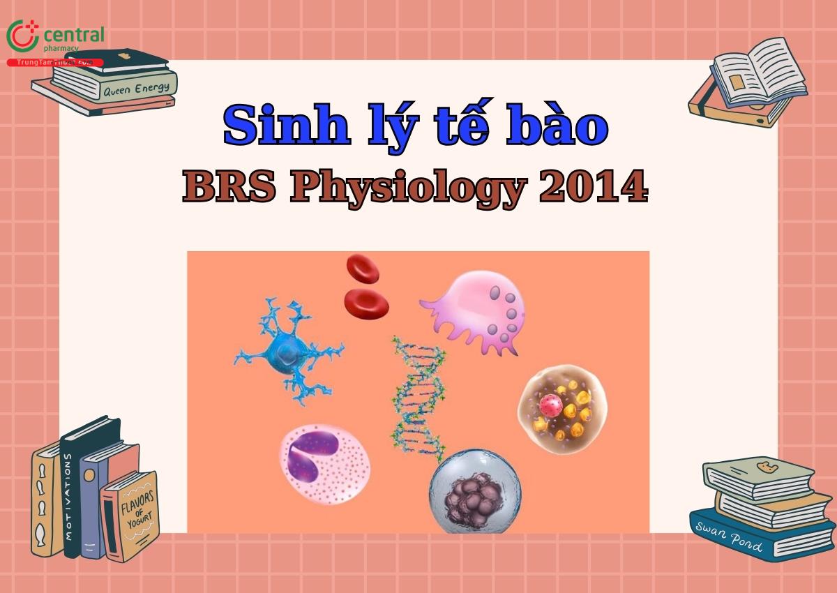 Sinh lý tế bào: Đặc điểm cấu tạo, hoạt động sống và chức năng - BRS Physiology Linda Costanzo 2014