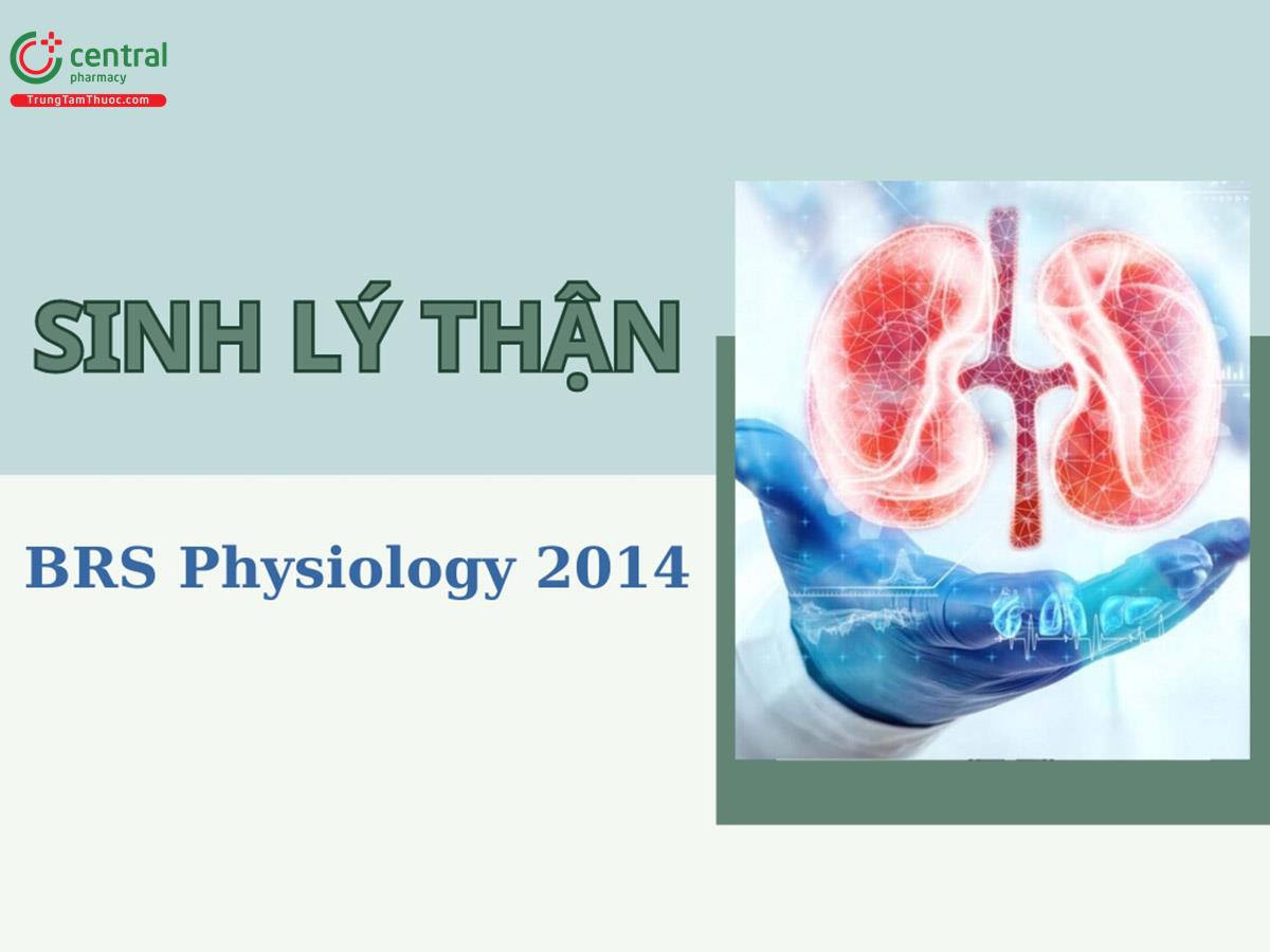Sinh lý thận: Chức năng, hoạt động và cân bằng acid - base - BRS Physiology Linda Costanzo 2014