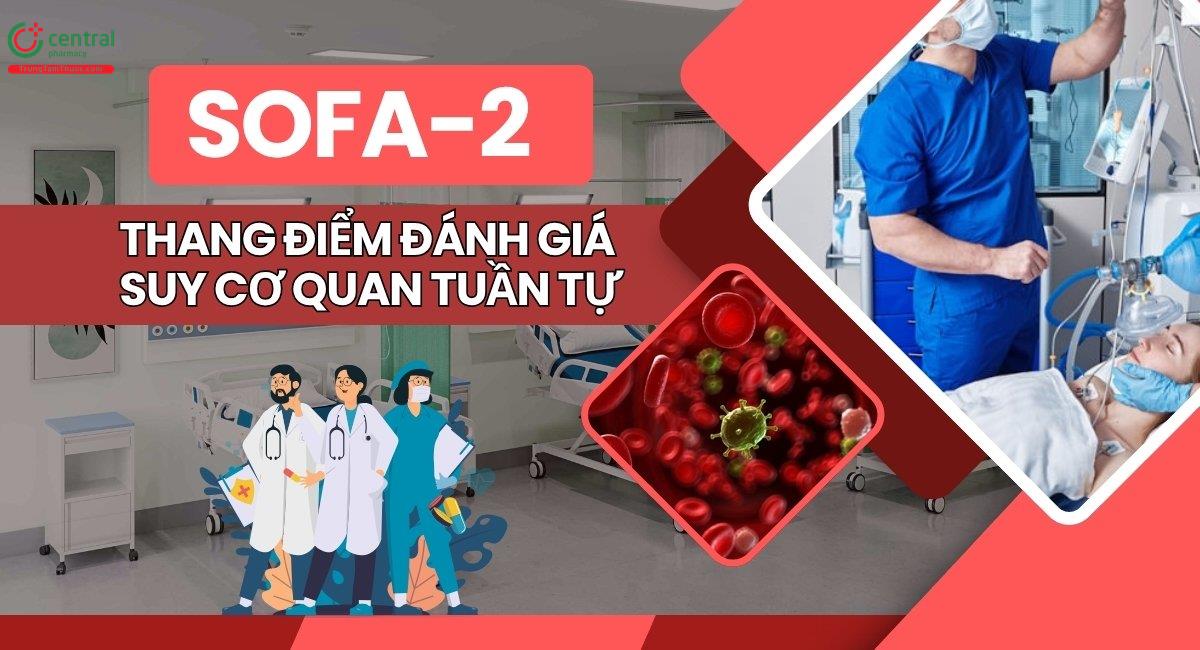 Thang điểm SOFA-2 2025: Cập nhật mới, so sánh với SOFA ban đầu và ứng dụng trong ICU