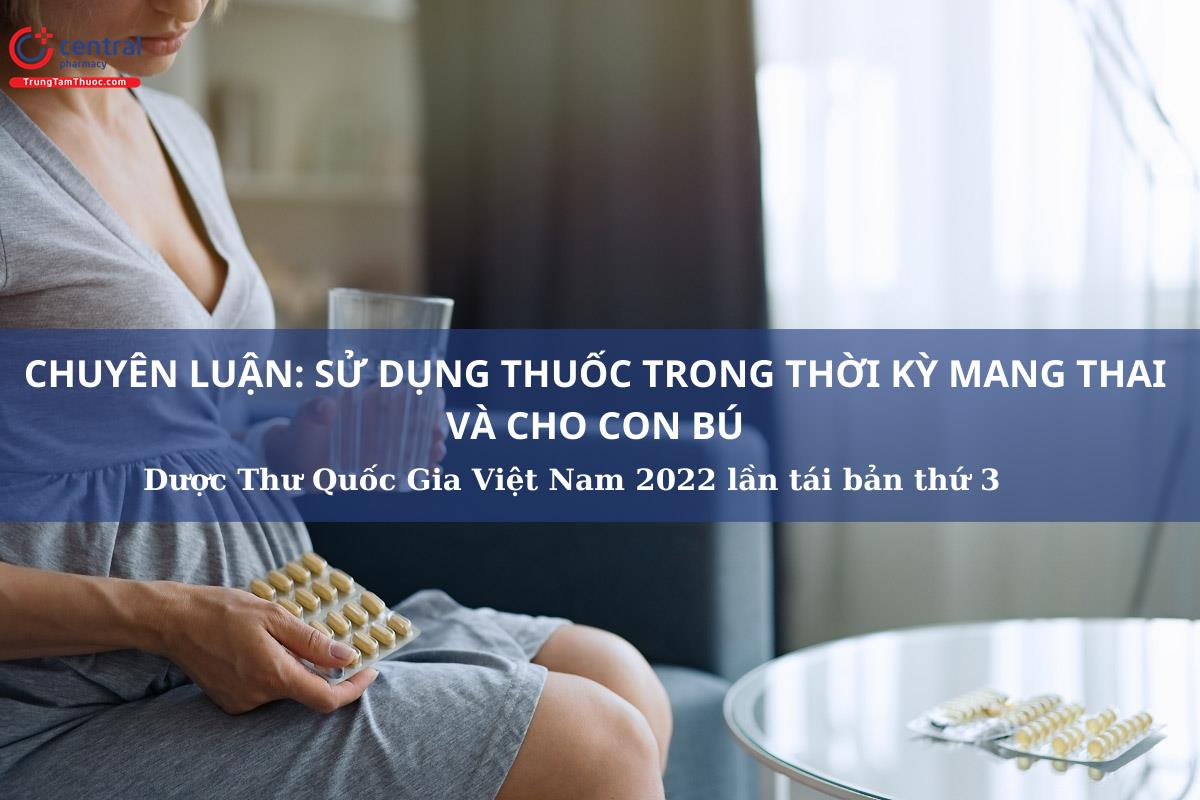 Chuyên luận: Sử dụng thuốc trong thời kỳ mang thai và cho con bú - Dược Thư Quốc Gia Việt Nam 2022