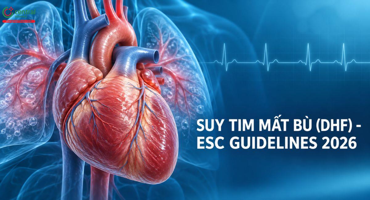 Suy tim mất bù (DHF) - ESC Guidelines 2026