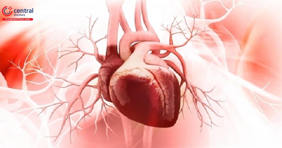 Suy tim ứ huyết ở trẻ: nguyên nhân, chẩn đoán và điều trị