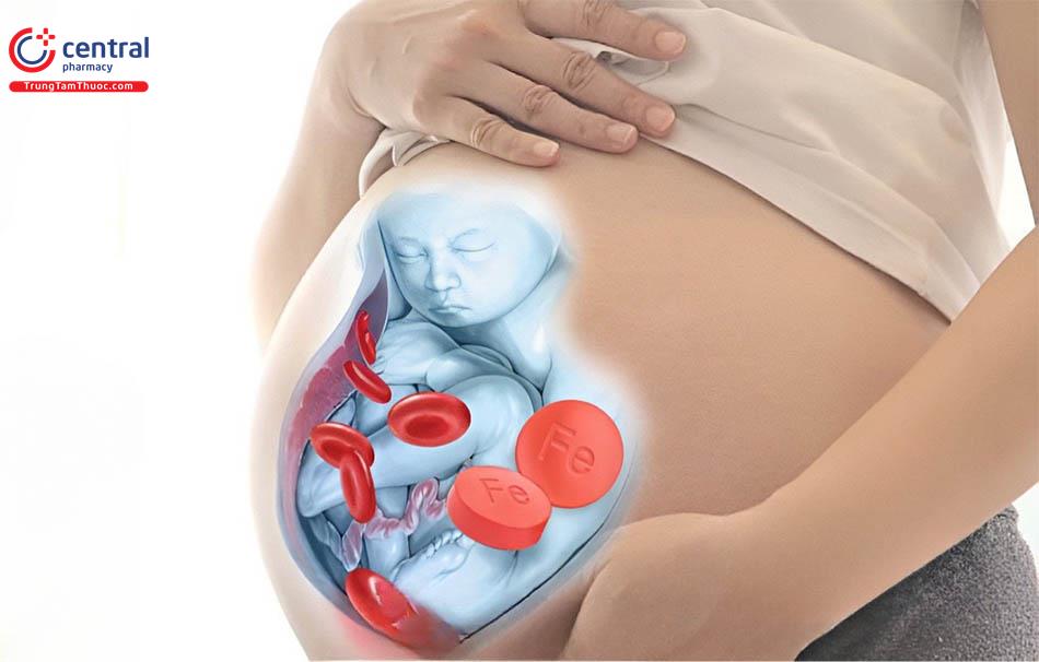 Thiếu máu trong thai kỳ và những biến chứng gặp phải ở mẹ và thai nhi