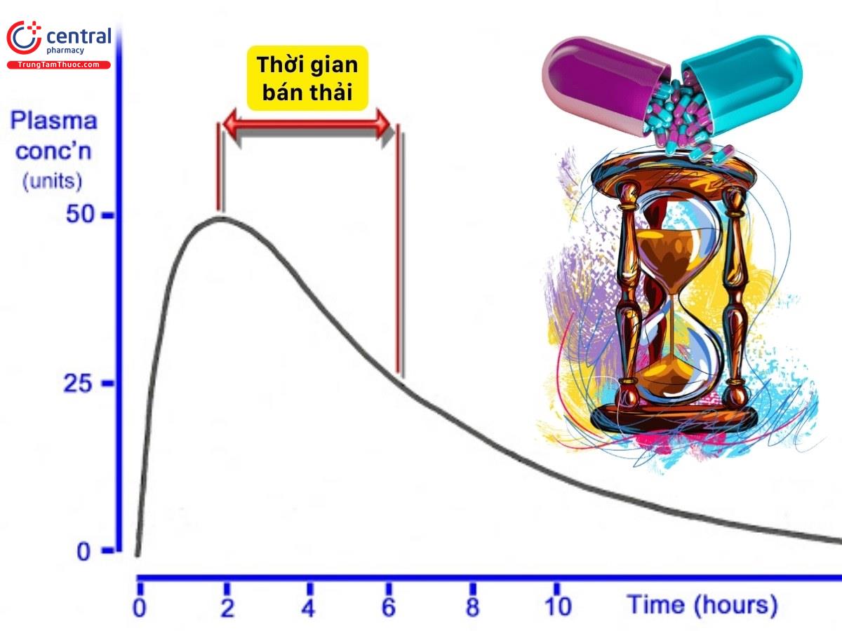 Thời gian bán thải của thuốc là gì? Công thức và ứng dụng lâm sàng