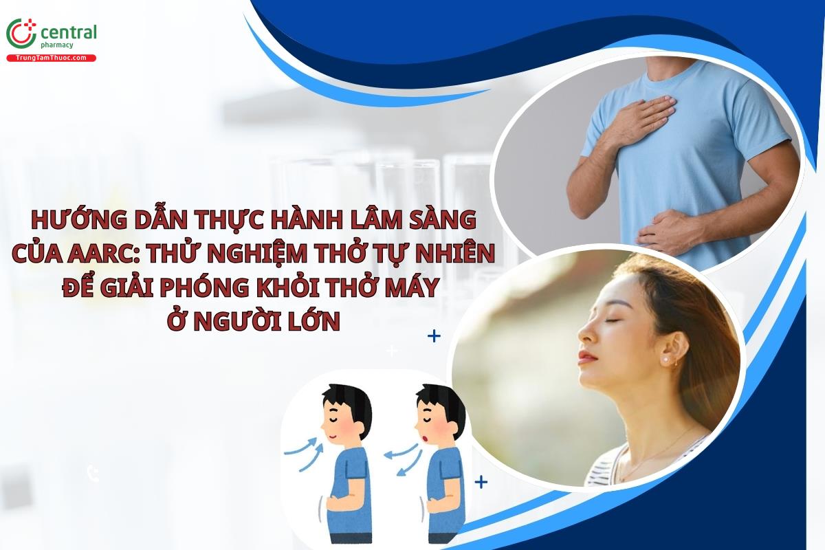 Hướng dẫn thực hành lâm sàng của AARC: Thử nghiệm thở tự nhiên để giải phóng khỏi thở máy ở người lớn