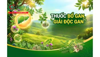 10 thuốc bổ gan, giải độc gan được bác sĩ khuyên dùng