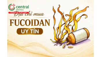 5 địa chỉ mua Fucoidan uy tín nhất do người tiêu dùng bình chọn