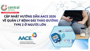 Cập nhật hướng dẫn AACE 2026 về quản lý bệnh đái tháo đường type 2 ở người lớn
