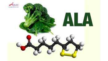 Alpha lipoic acid: Tác dụng, liều dùng, tương tác và tác dụng phụ
