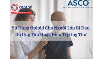 Hướng dẫn ASCO về Sử dụng Opioid cho người lớn bị đau do ung thư hoặc điều trị ung thư