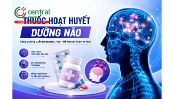  [BÁC SĨ KHUYÊN DÙNG] 10 thuốc hoạt huyết dưỡng não an toàn, hiệu quả
