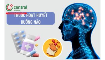  [BÁC SĨ KHUYÊN DÙNG] 10 thuốc hoạt huyết dưỡng não an toàn, hiệu quả