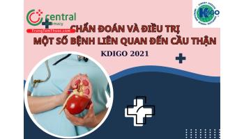 Chẩn đoán và điều trị một số bệnh liên quan đến cầu thận - KDIGO 2021
