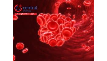 Bệnh đa hồng cầu nguyên phát: Nguyên nhân, chẩn đoán và điều trị