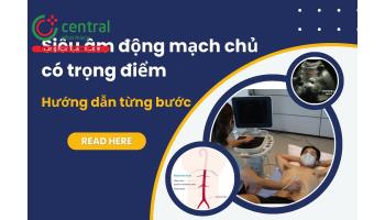 Siêu âm động mạch chủ có trọng điểm: Hướng dẫn từng bước
