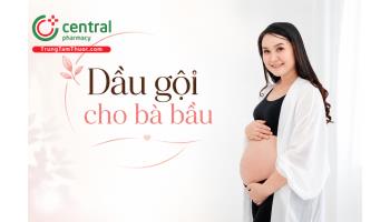 Các loại dầu gội đầu dành cho bà bầu an toàn, bán chạy nhất năm 2026