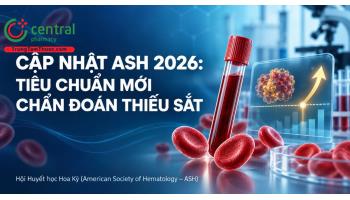 Cập nhật ASH 2026: Tiêu chuẩn mới chẩn đoán thiếu sắt