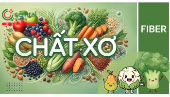 Chất xơ là gì, gồm những loại nào? Bổ sung chất xơ có lợi gì với cơ thể?