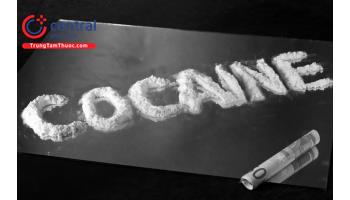 Hiểm họa khôn lường đến từ việc sử dụng cocain có thể bạn chưa biết