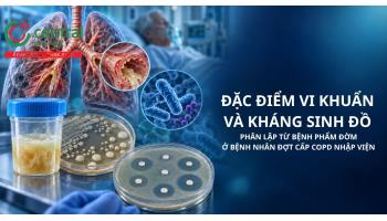 Đặc điểm vi khuẩn và kháng sinh đồ phân lập từ bệnh phẩm đờm ở bệnh nhân đợt cấp COPD nhập viện