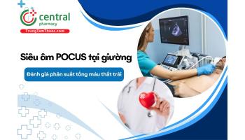 Đánh giá phân suất tống máu thất trái bằng siêu âm tim tại giường