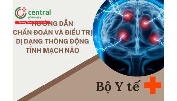 Hướng dẫn chẩn đoán và điều trị dị dạng thông động tĩnh mạch não - Bộ Y tế