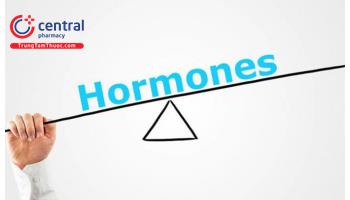 Dược lý hormon tuyến yên và hormon tuyến vỏ thượng thận