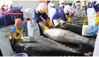 FDA Hoa Kỳ yêu cầu thu hồi cá ngừ nguồn gốc Việt Nam nhiễm Salmonella