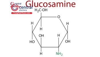 Glucosamin: Tác dụng và những lưu ý khi sử dụng