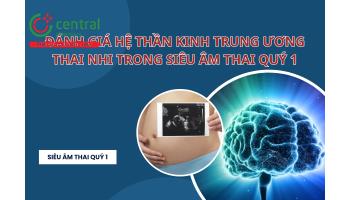 Đánh giá hệ thần kinh trung ương thai nhi trong siêu âm thai quý 1