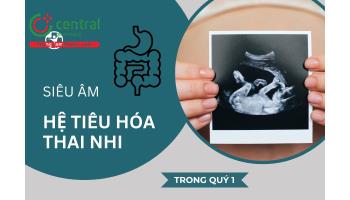 Siêu âm đánh giá hệ tiêu hóa thai nhi trong quý 1