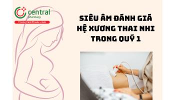 Siêu âm đánh giá hệ xương thai nhi trong quý 1