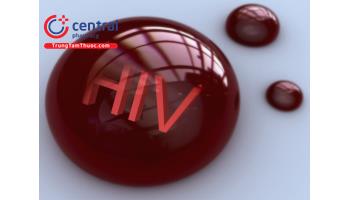 Phơi nhiễm HIV là gì? Những dấu hiệu phơi nhiễm HIV cần biết?