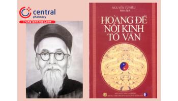 Đọc online và tải miễn phí Sách Hoàng Đế Nội Kinh Tố Vấn - Nguyễn Tử Siêu PDF