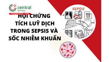 Hội Chứng Tích Lũy Dịch Trong Sepsis Và Sốc Nhiễm Khuẩn