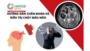 Hướng dẫn chẩn đoán và điều trị chảy máu não - Bộ Y tế