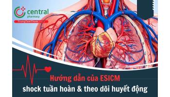 Shock tuần hoàn và theo dõi huyết động: Hướng dẫn của ESICM 2025