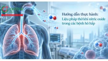 Hướng dẫn thực hành: Liệu pháp thở khí nitric oxide trong các bệnh hô hấp