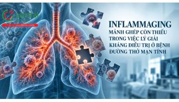 Inflammaging - Mảnh ghép còn thiếu trong việc lý giải kháng điều trị ở bệnh đường thở mạn tính
