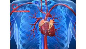 Lao màng ngoài tim: triệu chứng, chẩn đoán và phương pháp điều trị