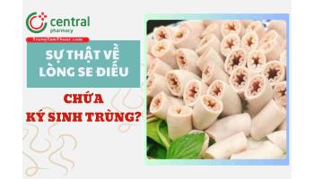 Sự thật về lòng se điếu: Món ngon đặc sản hay ổ chứa ký sinh trùng?